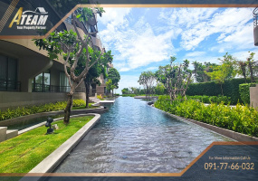 Cha Am , 1 Bedroom, 1 Bathroom, Apartment / Condo, For Rent, ,1343, A-Team Real estate