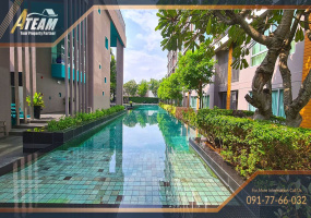 Hua Hin Center , 1 Bedroom, 1 Bathroom, Apartment / Condo, For Rent, ,1373, A-Team Real estate