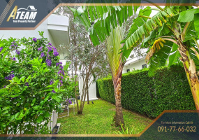 Thap Thai , 3 Bedrooms, 3 Bathrooms, House / Villa, For Rent, ,1377, A-Team Real estate