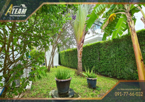 Thap Thai , 3 Bedrooms, 3 Bathrooms, House / Villa, For Rent, ,1377, A-Team Real estate