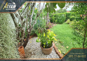 Hua Hin, Hin Lek Fai, 3 Bedrooms, 3 Bathrooms, House / Villa, For Sale,1466, A-Team Real estate