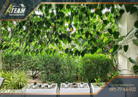 Hua Hin, Hin Lek Fai, 3 Bedrooms, 3 Bathrooms, House / Villa, For Sale,1466, A-Team Real estate