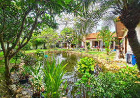 Hua Hin, Sam Roi Yod, 5 Bedrooms, 5 Bathrooms, House / Villa, For Sale,1469, A-Team Real estate