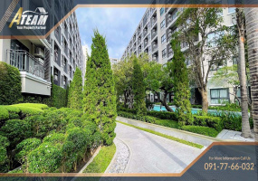 Hua Hin Center , 1 Bedroom, 1 Bathroom, Apartment / Condo, For Rent, ,1506, A-Team Real estate