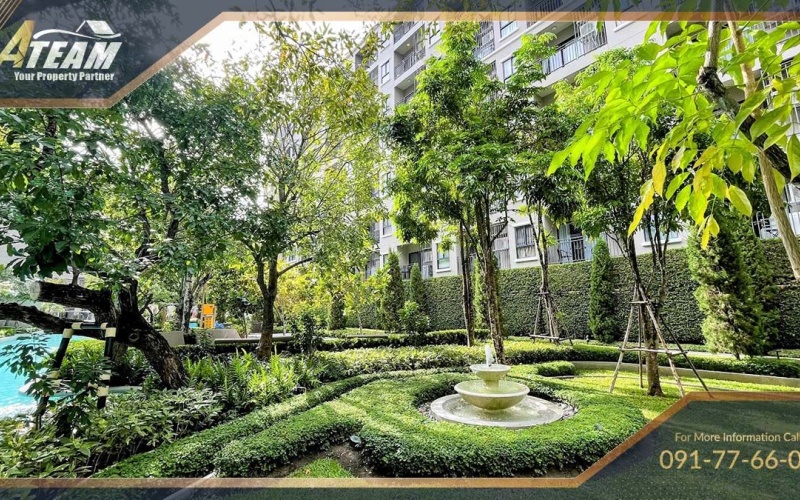 Hua Hin Center , 1 Bedroom, 1 Bathroom, Apartment / Condo, For Rent, ,0,1506, A-Team Real estate