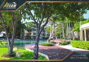 Takiap , 1 Bedroom, 1 Bathroom, Apartment / Condo, For Rent, ,1550, A-Team Real estate