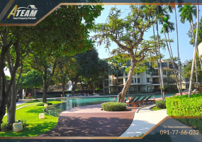 Takiap , 1 Bedroom, 1 Bathroom, Apartment / Condo, For Rent, ,1550, A-Team Real estate