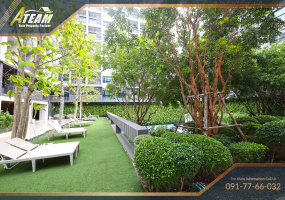 Hua Hin Center , 1 Bedroom, 1 Bathroom, Apartment / Condo, For Rent, ,1558, A-Team Real estate