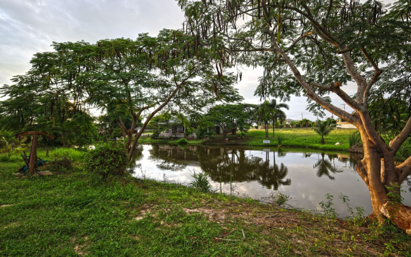 Hua Hin , Hua Hin Center , Land, For Sale, ,1661, A-Team Real estate
