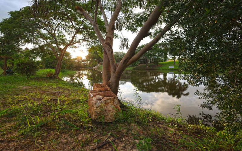 Hua Hin , Hua Hin Center , Land, For Sale, ,1661, A-Team Real estate
