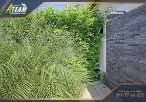 Hua Hin , Hua Hin Center, 3 Bedrooms, 3 Bathrooms, House / Villa, For Sale,1663, A-Team Real estate
