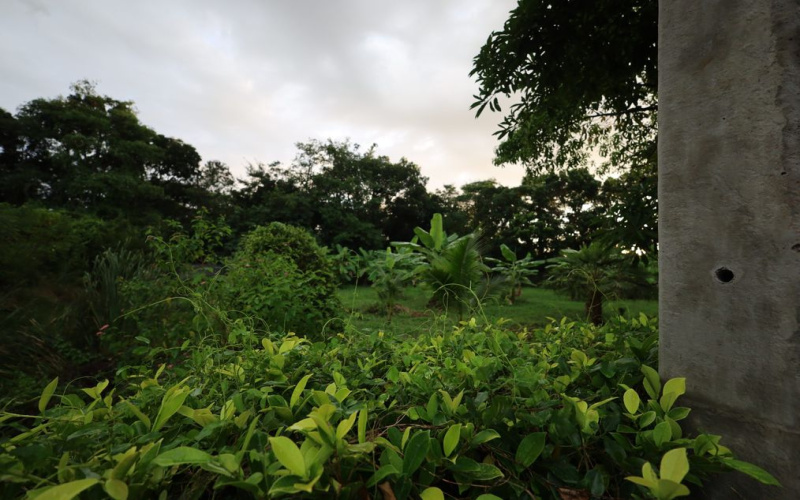 Hua Hin , Hua Hin Center , Land, For Sale, ,1667, A-Team Real estate
