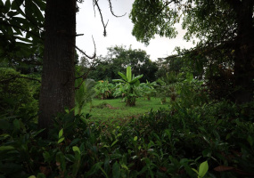 Hua Hin , Hua Hin Center , Land, For Sale, ,1667, A-Team Real estate