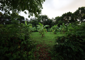 Hua Hin , Hua Hin Center , Land, For Sale, ,1667, A-Team Real estate