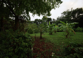Hua Hin , Hua Hin Center , Land, For Sale, ,1667, A-Team Real estate