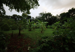 Hua Hin , Hua Hin Center , Land, For Sale, ,1667, A-Team Real estate