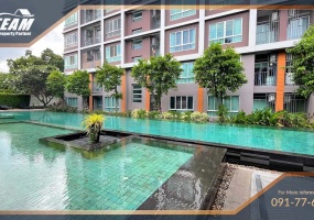Hua Hin, Hua Hin Center , 1 Bedroom, 1 Bathroom, Apartment / Condo, For Sale, ,1684, A-Team Real estate