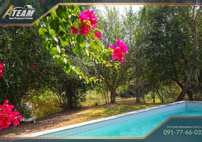 Sam praya, Cha Am , 5 Bedrooms, 5 Bathrooms, House / Villa, For Sale, ,0,1769, A-Team Real estate