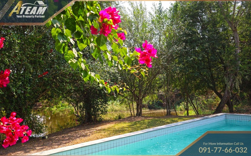 Sam praya, Cha Am , 5 Bedrooms, 5 Bathrooms, House / Villa, For Sale, ,0,1769, A-Team Real estate