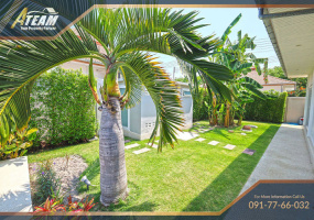 Hua Hin, Thap Thai, 3 Bedrooms, 3 Bathrooms, House / Villa, For Rent,1809, A-Team Real estate