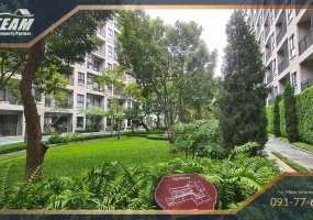 Hua Hin, Hua Hin Center, 1 Bedroom, 1 Bathroom, Apartment / Condo, For Rent,0,1904, A-Team Real estate
