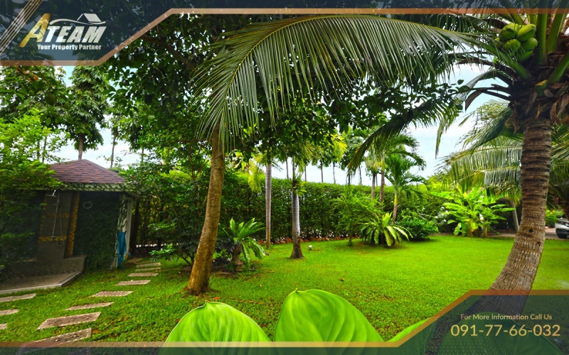 Hua Hin, Thap Thai , 5 Bedrooms, 5 Bathrooms, House / Villa, For Sale, ,0,1915, A-Team Real estate